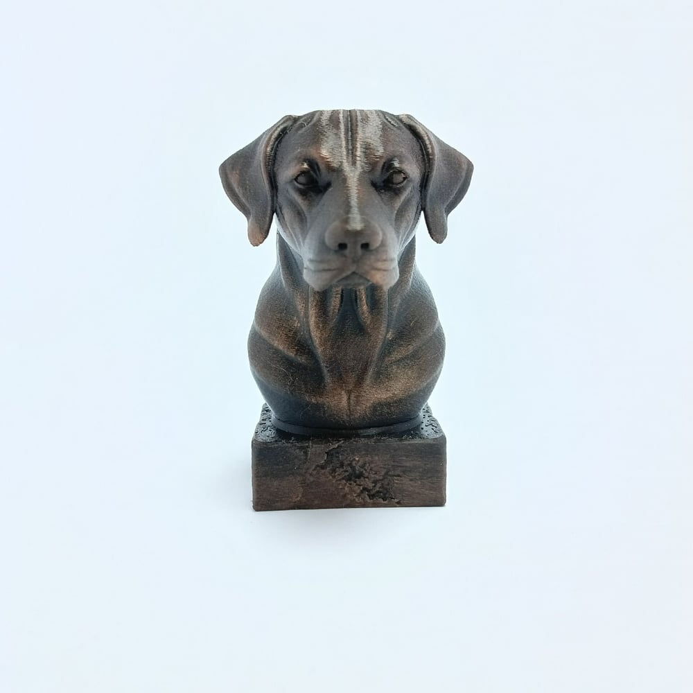 Labrador  - Büst