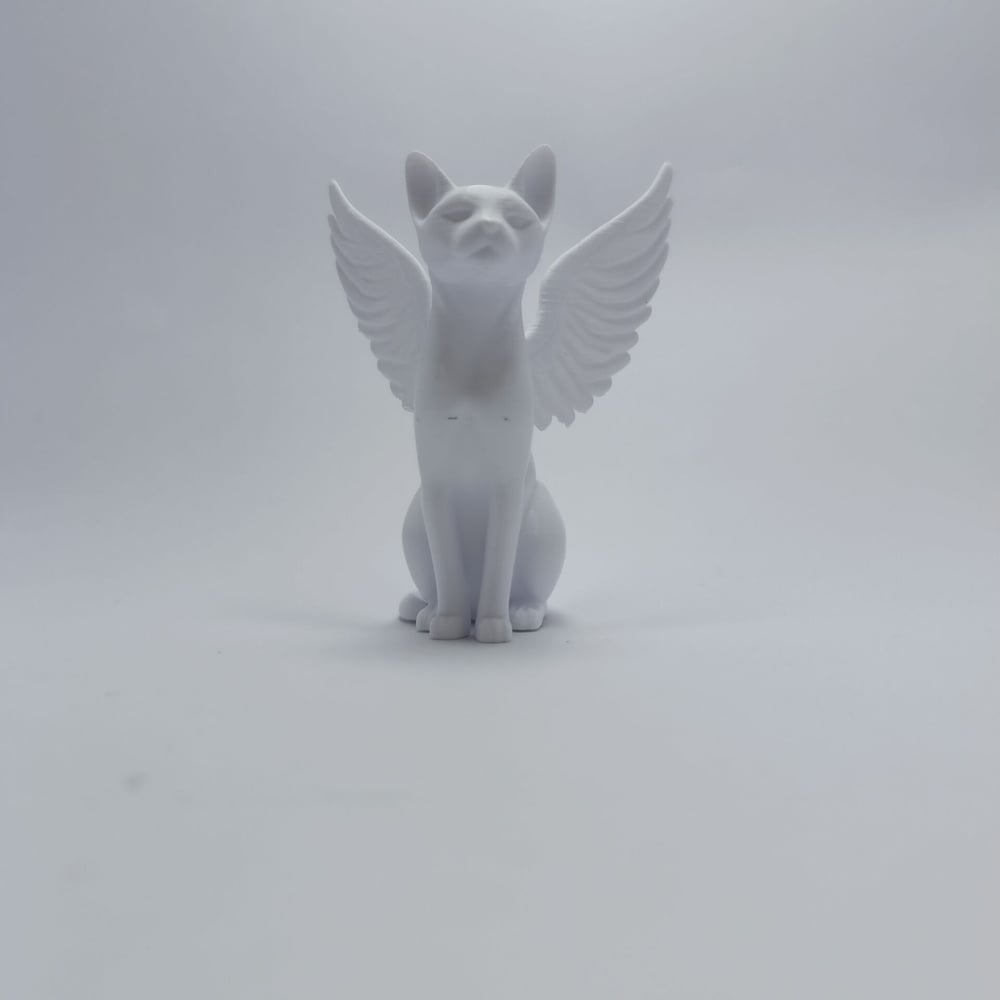 Melek Kedi - Biblo