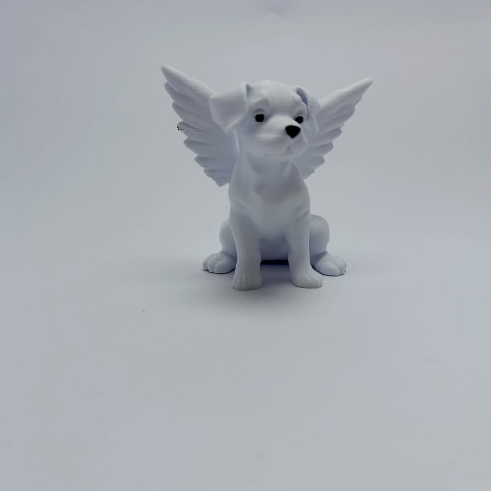 Melek Köpek - Biblo