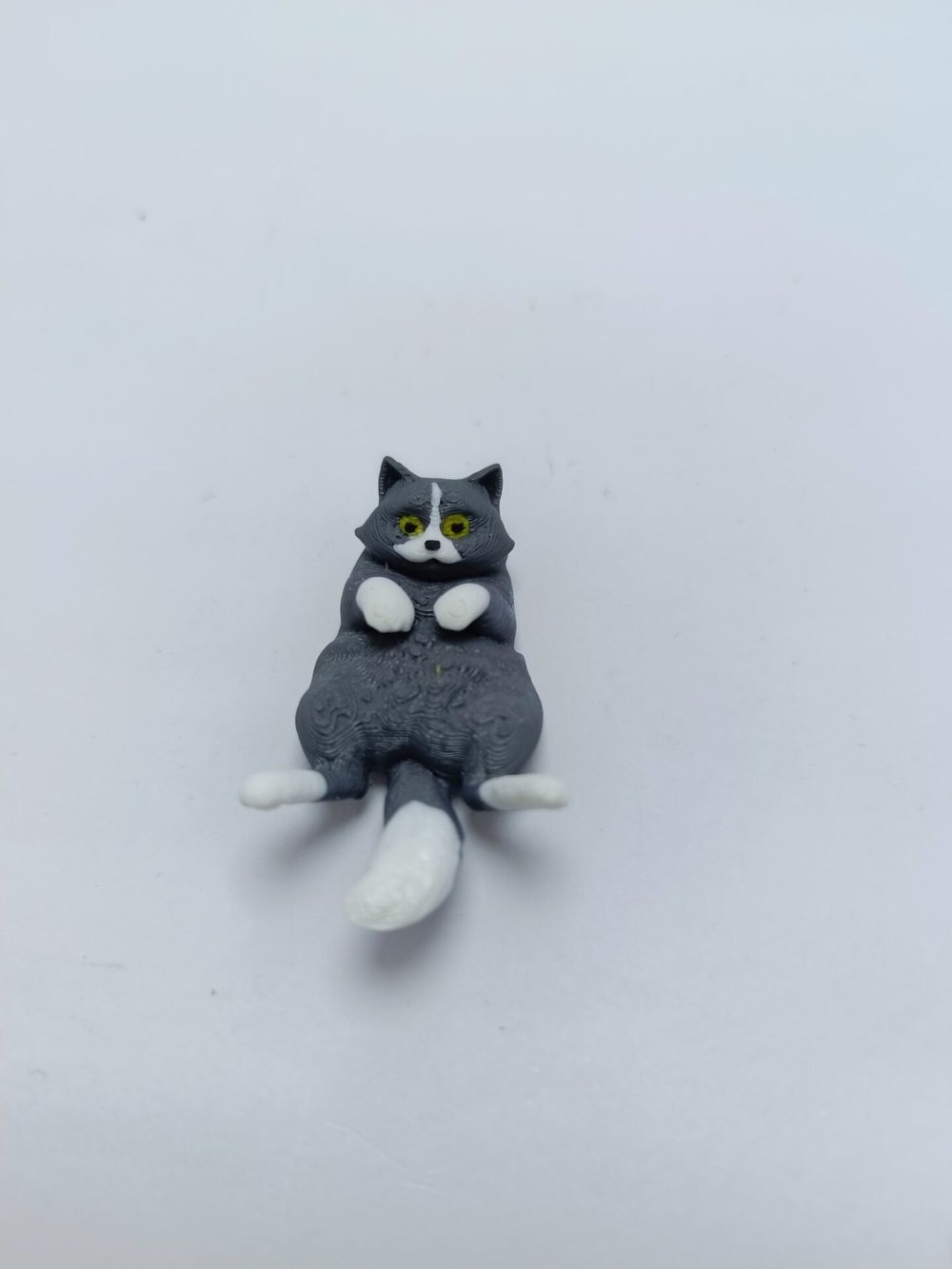 Miskin Gri Kedi  Magnet
