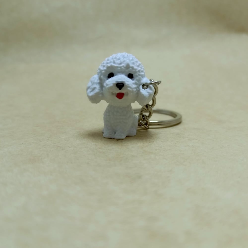 Toy poodle - Beyaz - Anahtarlık