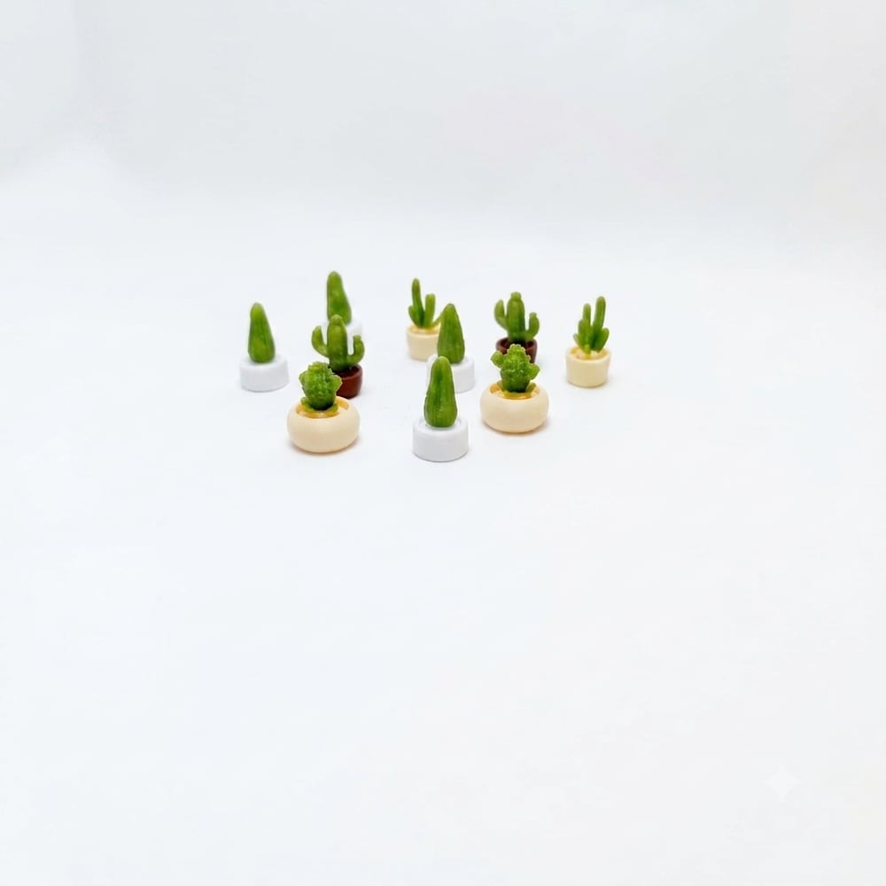 Kaktüs 10 lu  2 cm 