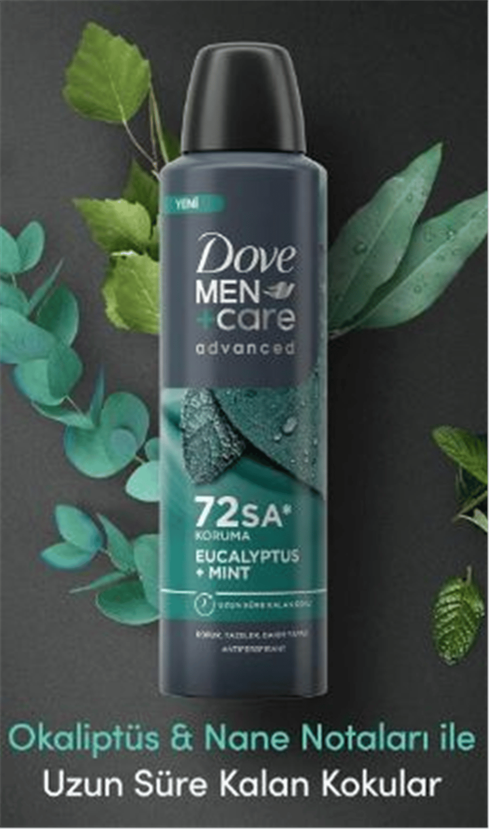 Dove Deodorant Bay Eucalptu Mint 150ml