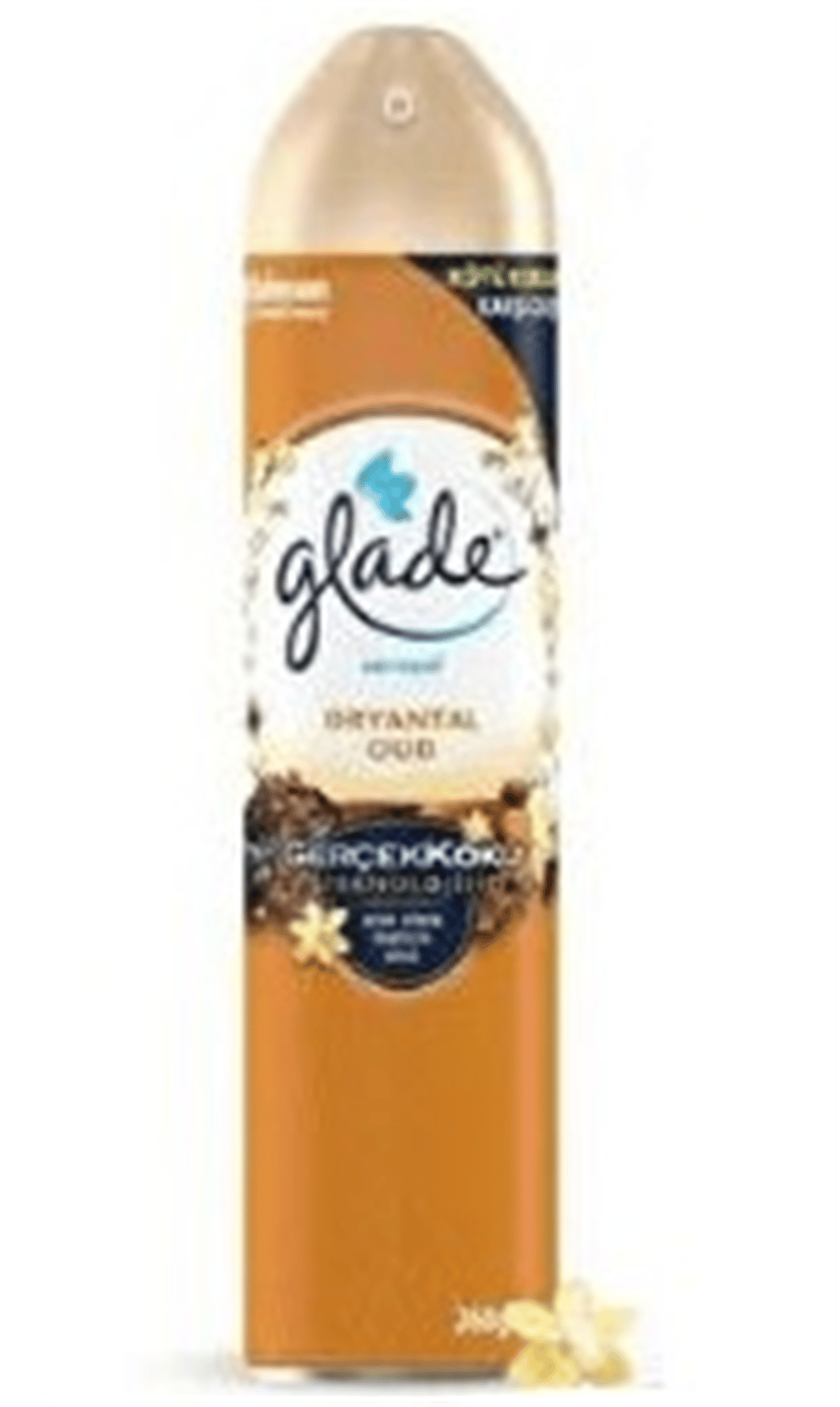 Glade Aerosol Oda Kokusu 300ml Oryantal