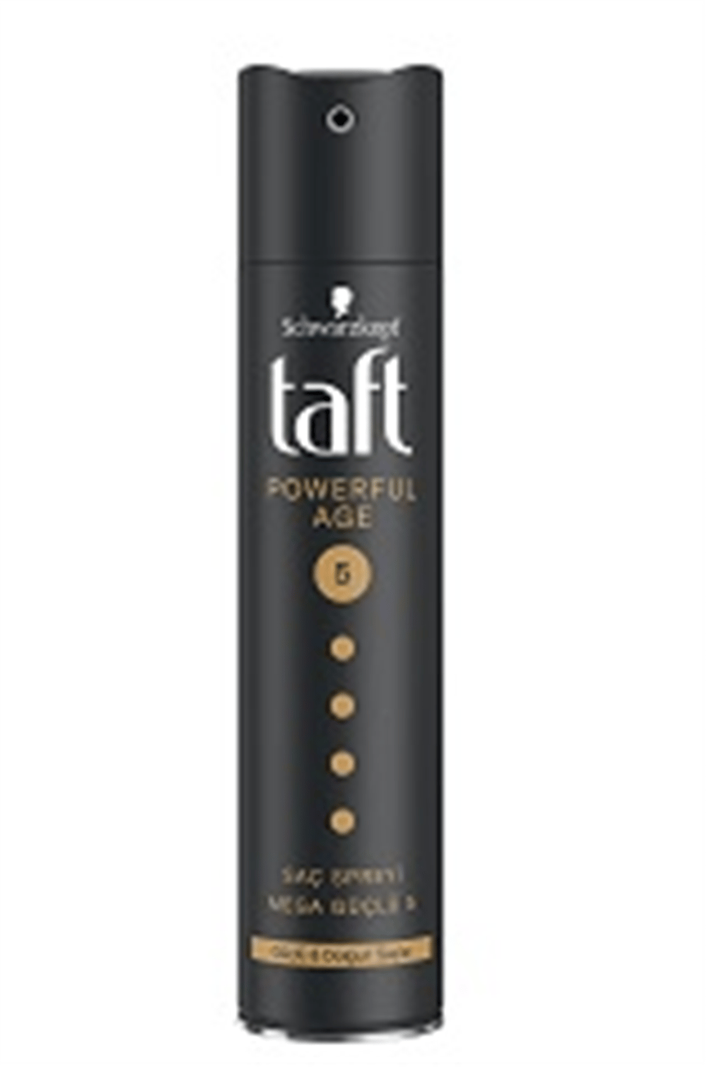 Taft Saç Sprey Powerfull Age 250ml No:5