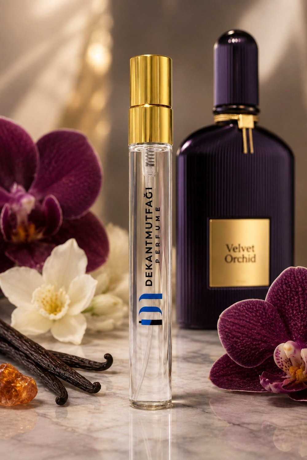 Velvet Orchid