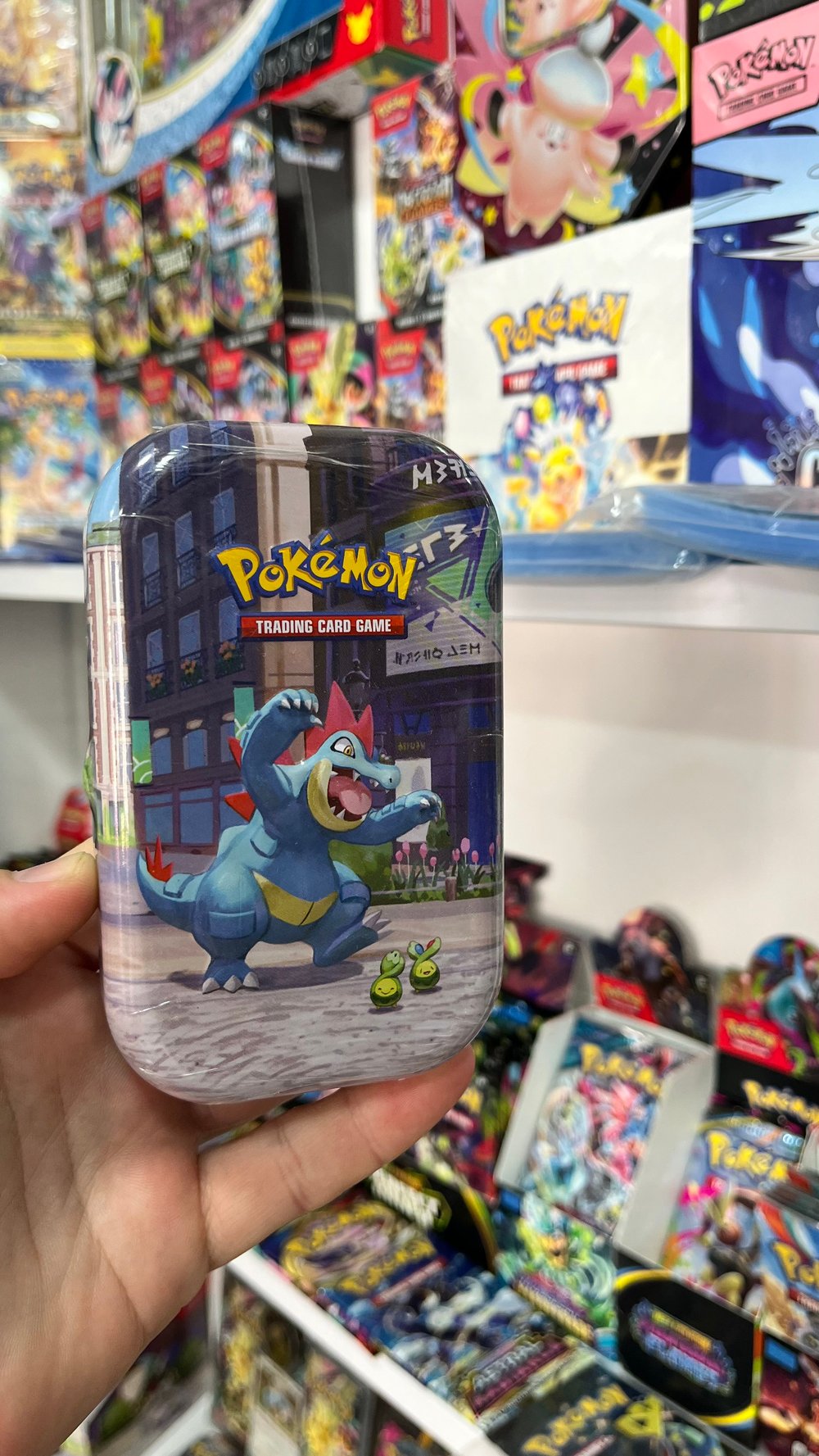 Pokémon - Lumiose City Mini Tin: Feraligatr & Budew