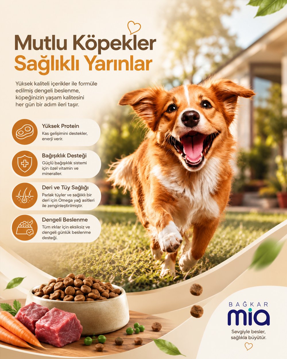 Bağkar Mia Kuzu Lamb Etli Bezelyeli Pirinçli Köpek Maması 15 Kg