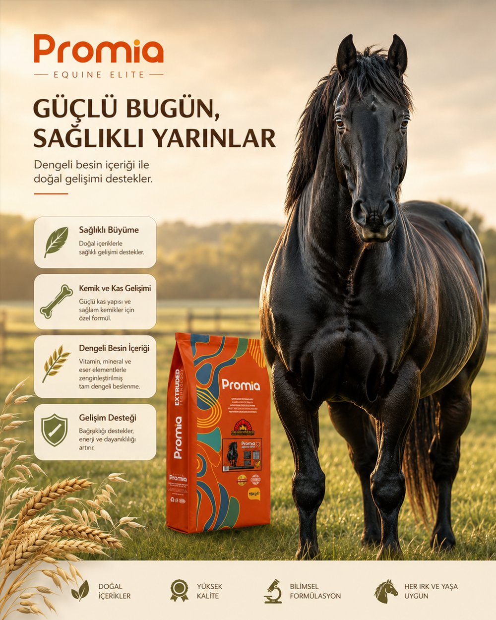 Promia Equine Elite X Yetişkin Atlar İçin Mix At Yemi 15 KG