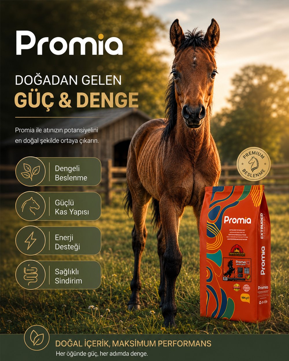 Promia Equine Junior X Taylar İçin Mix Büyütme Yemi 15 KG