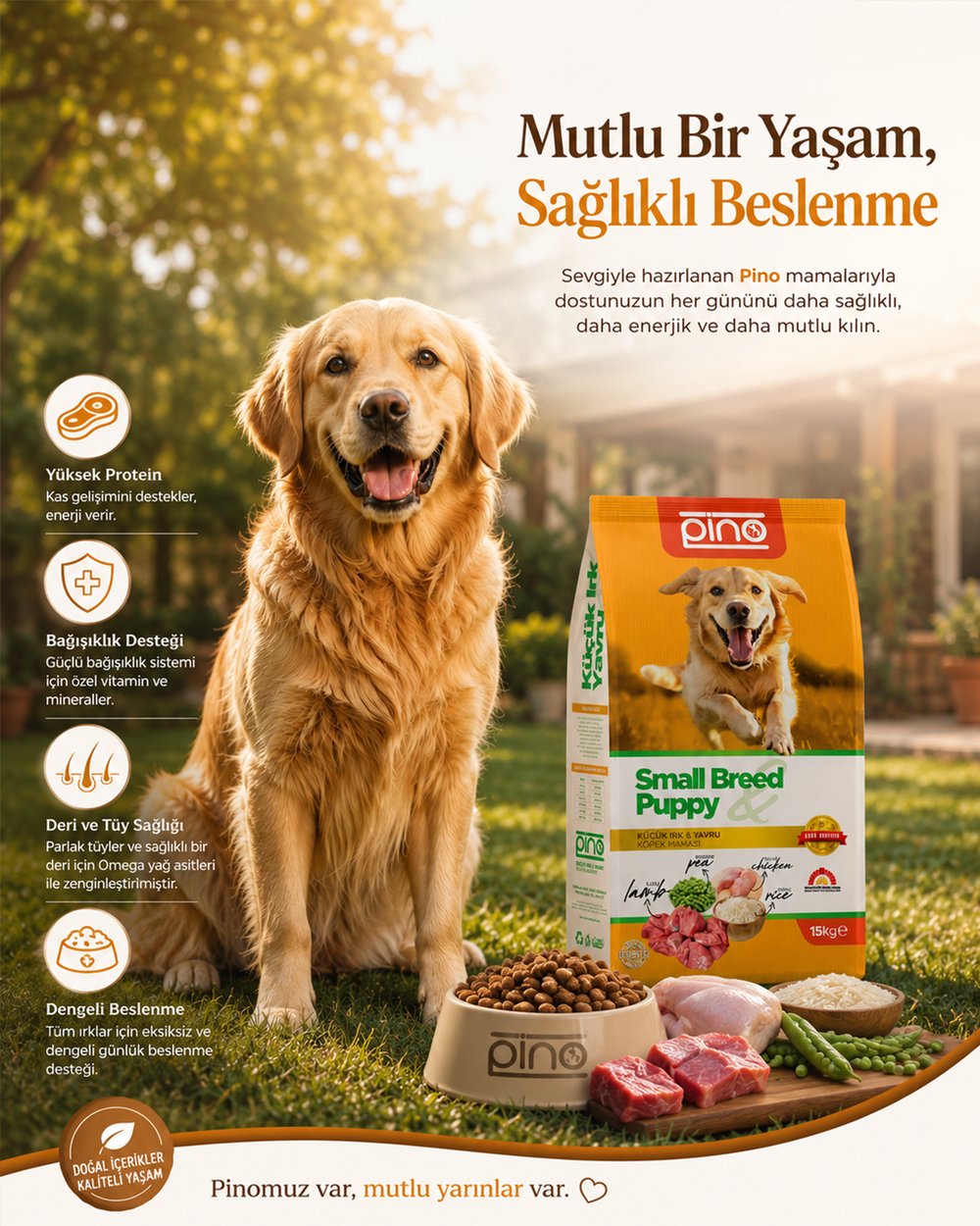 Pino Küçük Yavru Köpek Maması Kuzu & Tavuk 15 Kg
