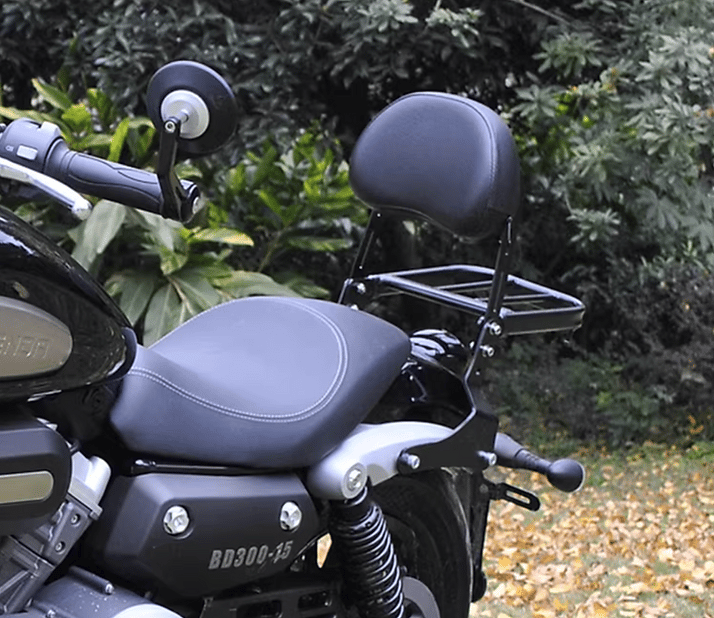 Arora Cp 250 Sissy Bar