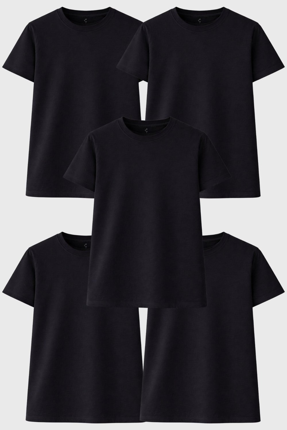 Kadın 5'li Tişört Seti %100 Pamuk Basic Regular Fit Bisiklet Yaka Düz Renk Günlük T-Shirt
