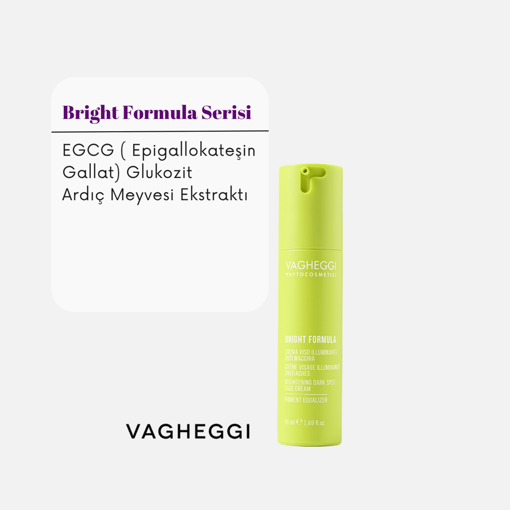 Vagheggi BRIGHT FORMULA BRIGHTENING DARK SPOT FACE CREAM 50 ml