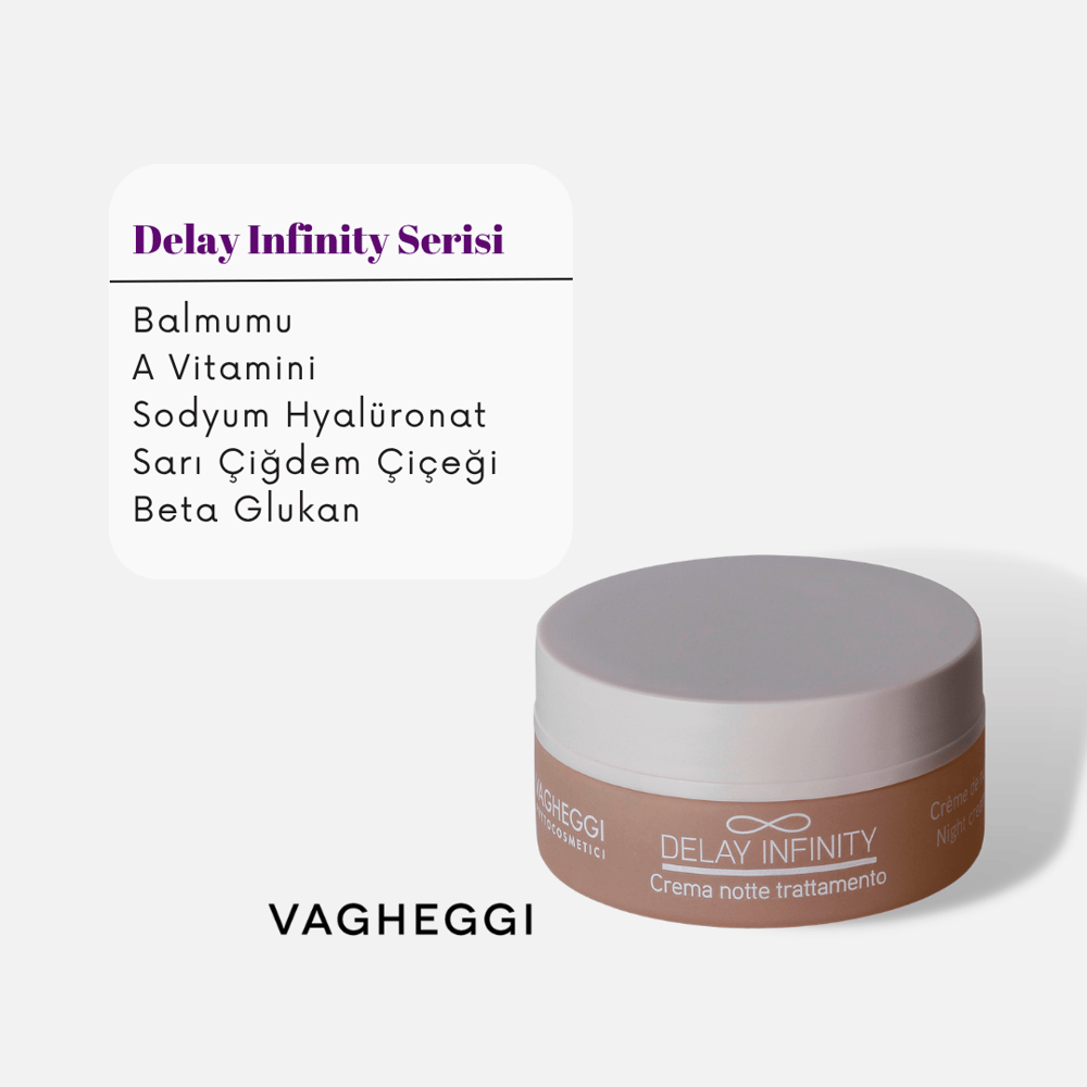 Vagheggi DELAY INFINITY NIGHT CREAM 50 ml