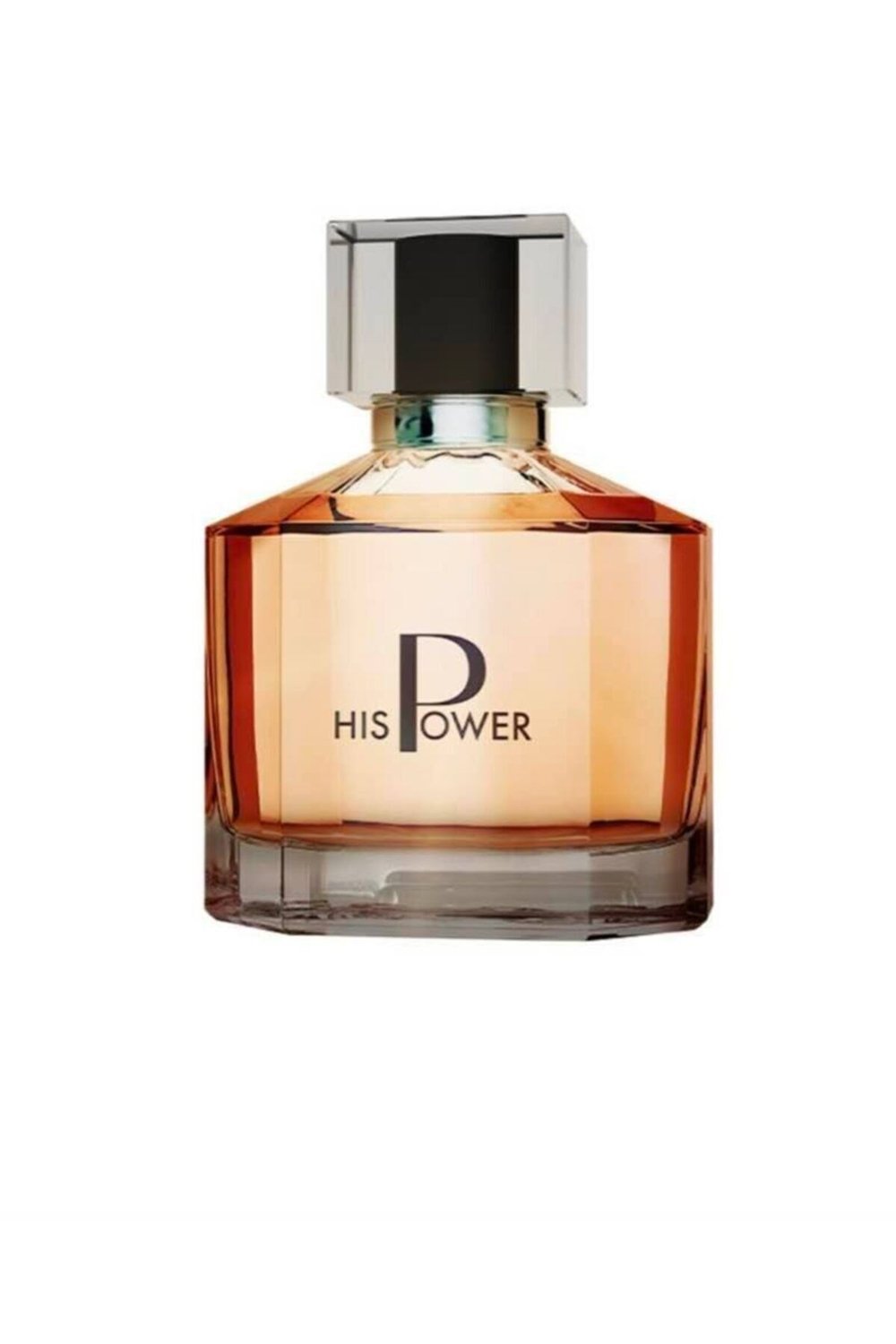 His Power Edp Erkek Parfüm 100 ml FHP02