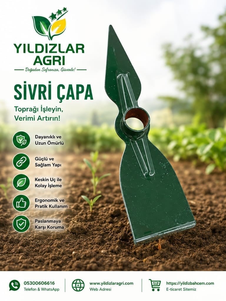 Sivri Uçlu Bahçe Çapası (Sapsız)