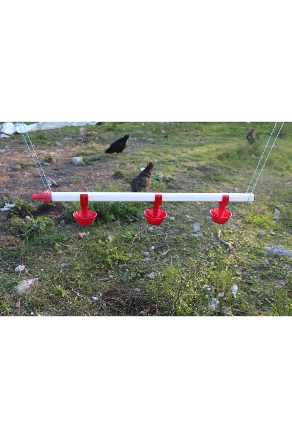 Civciv için 60 cm 3 yaylı çanak Nipel suluk
