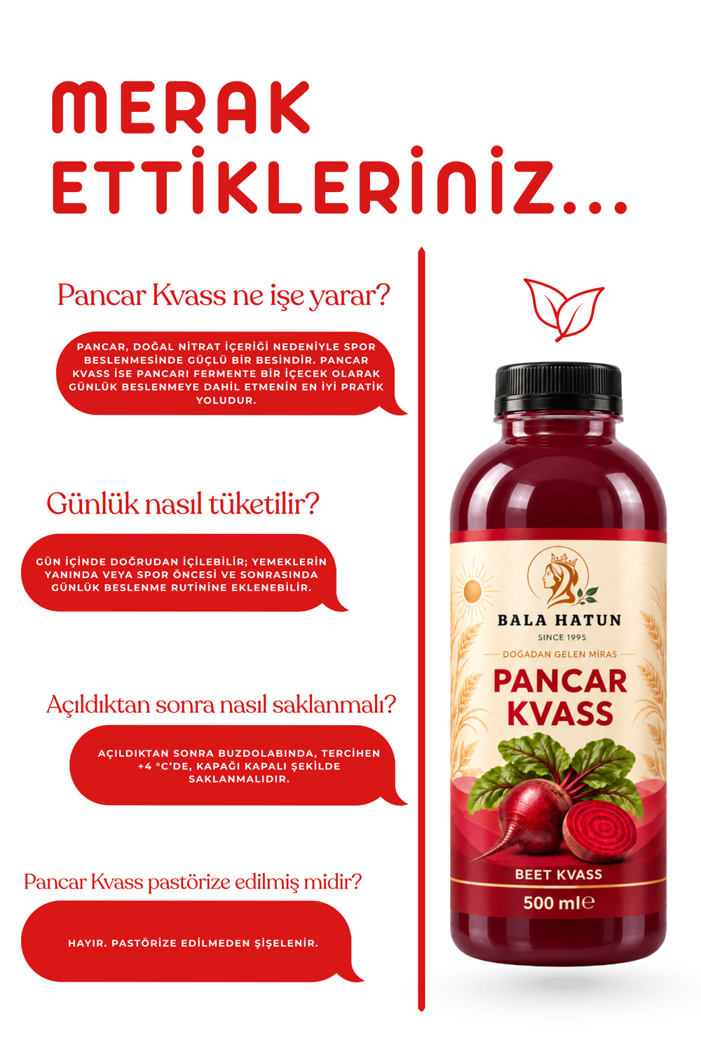 Bala Hatun Pancar Kvass 500ml - Doğal Fermente (12li Pet Şişe)