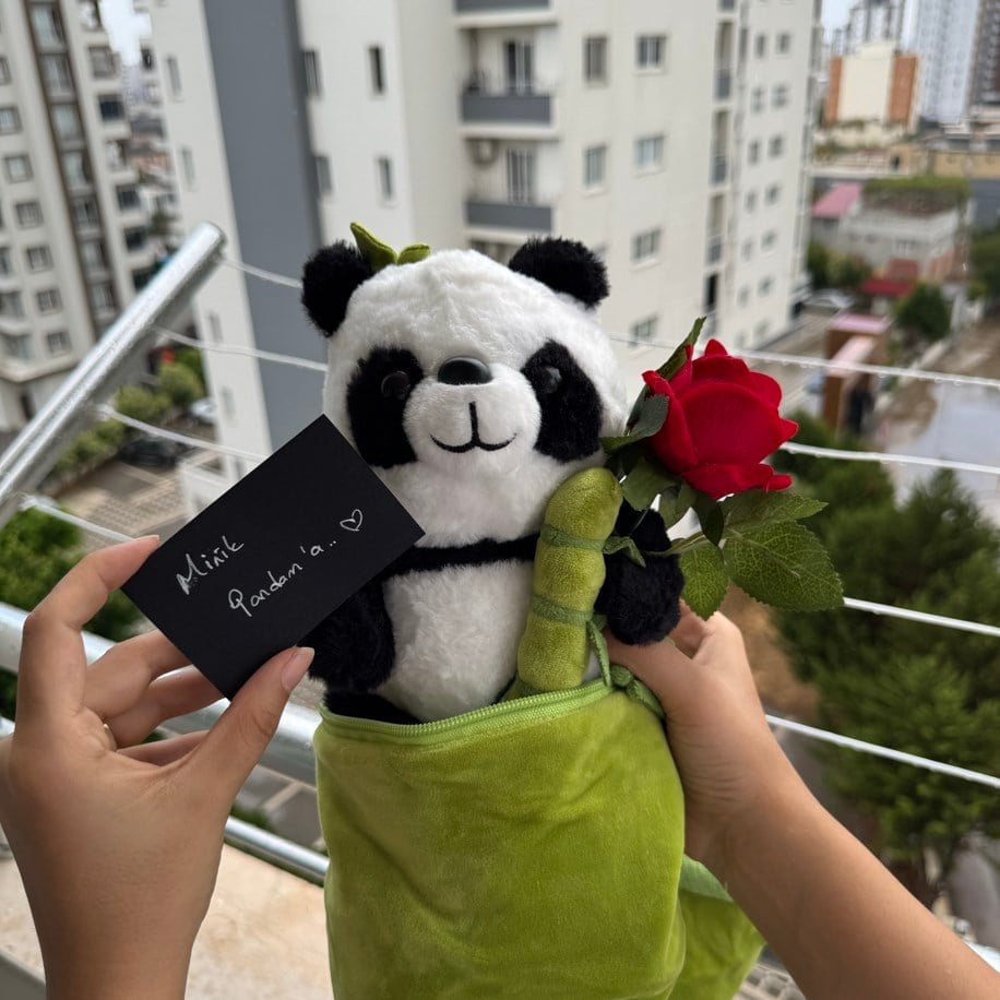 Güllü Panda