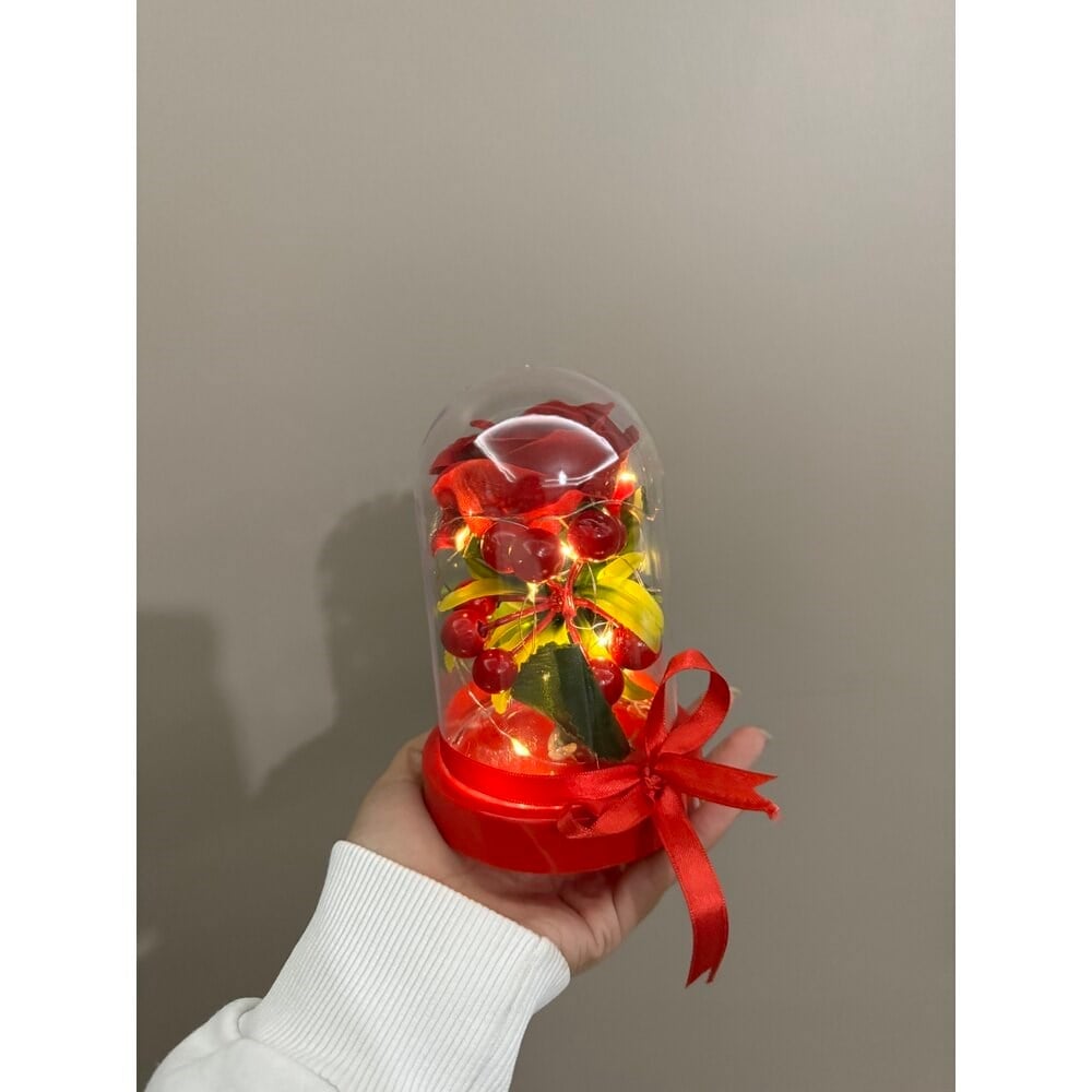 Mini Kokinalı Fanus
