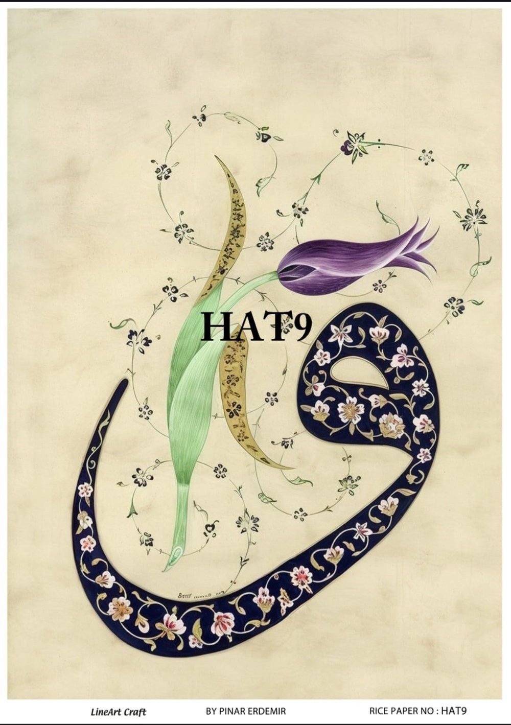 HAT9