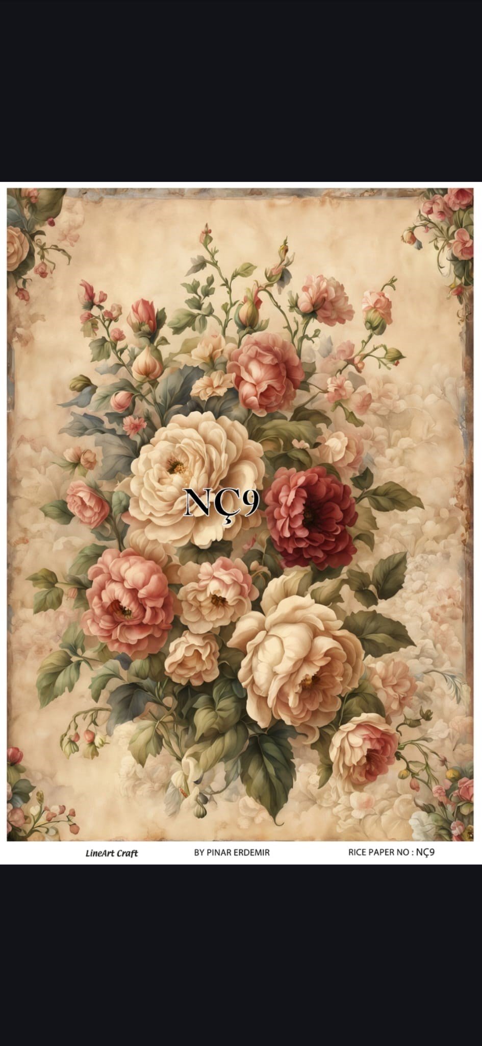 NÇ09