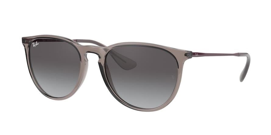 Ray-Ban RB 4171 65138G .54 Güneş Gözlüğü