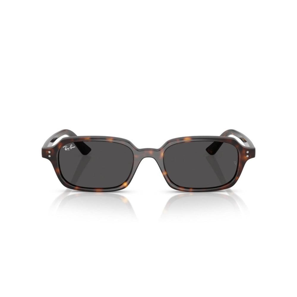 Ray-Ban RB 4455 135987 .49 Unisex Güneş Gözlüğü