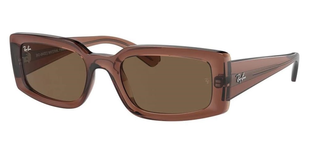 Ray-Ban RB4395 667873 .54 Güneş Gözlüğü
