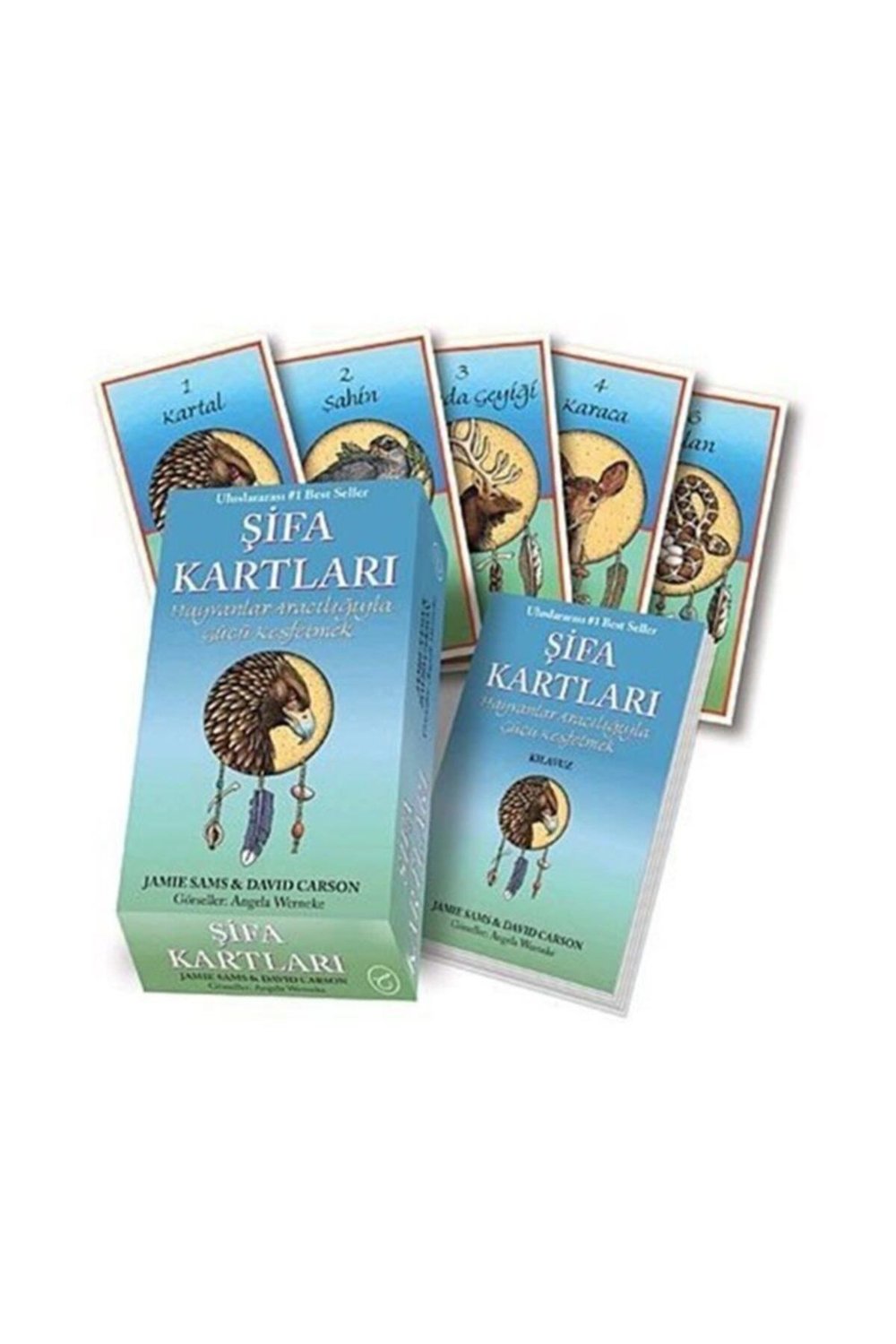 Şifa Kartları