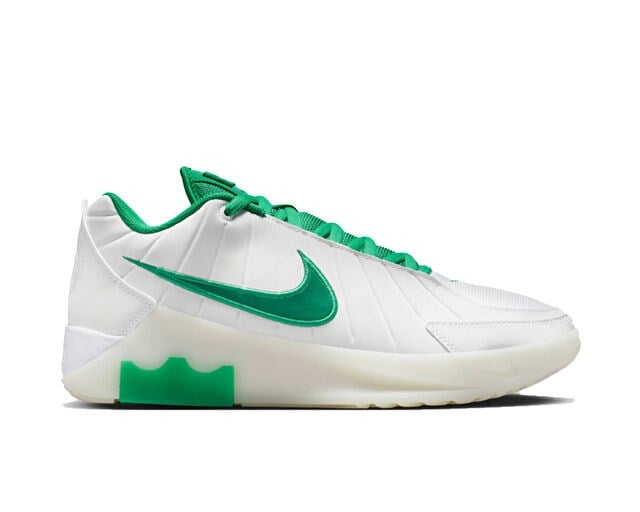 NIKE LEBRON WITNESS IX Erkek Basketbol Ayakkabısı HQ8034-101 Beyaz