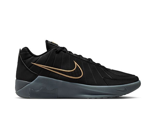 NIKE LEBRON WITNESS IX Unisex Basketbol Ayakkabısı HQ8034-003 Siyah