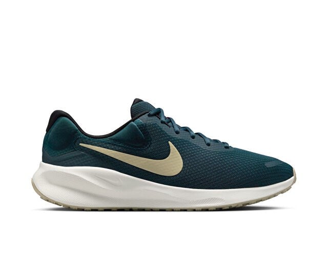 NIKE REVOLUTION 7 Erkek Koşu Ayakkabısı FB2207-407 Çok Renkli