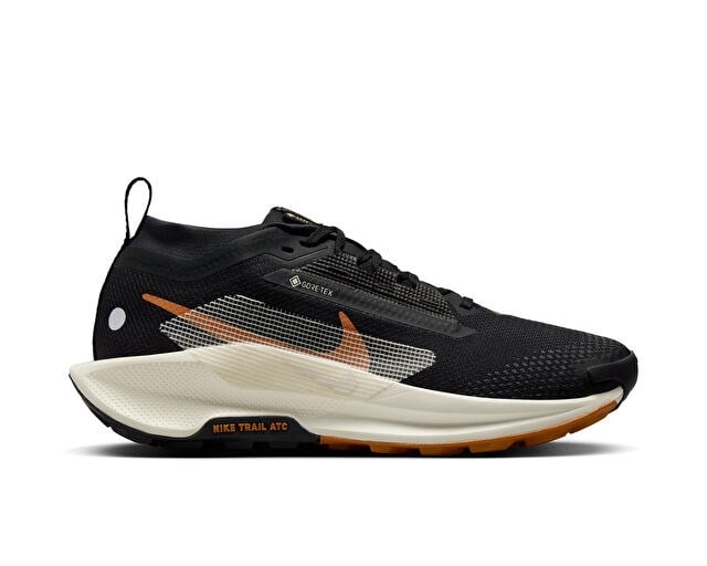 NIKE W PEGASUS TRAIL 5 GTX Kadın Arazi Tipi Koşu Ayakkabısı FQ0912-005 Siyah