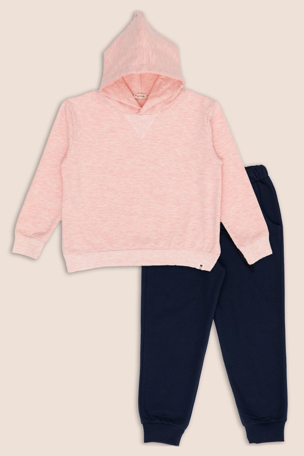 2li-pembe-lacivert-kapisonlu-jogger-al-2-9887.jpg