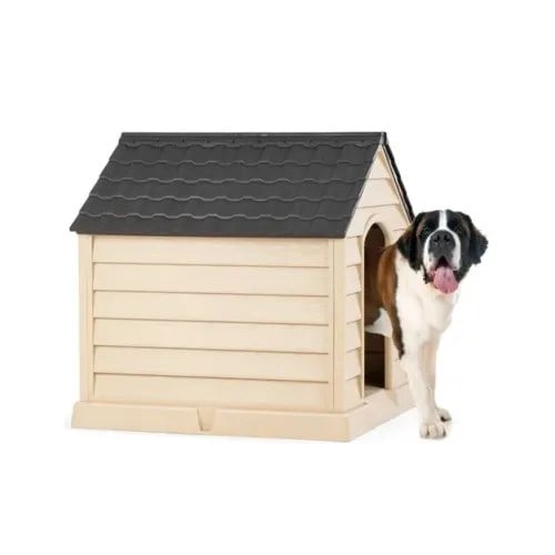 Büyük Köpek Kulübesi