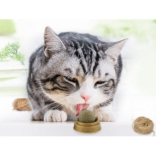 Kedi Nanesi (Catnip) Oyun Topu