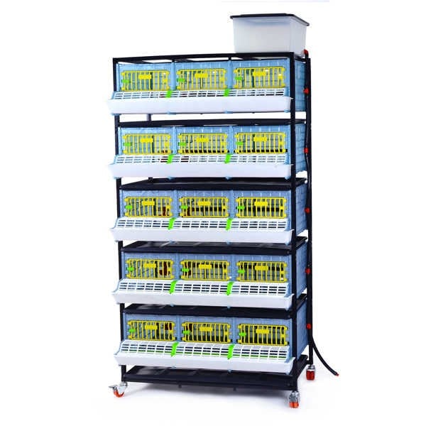 GELİŞTİRME KAFESİ GL25 / 5 KATLI