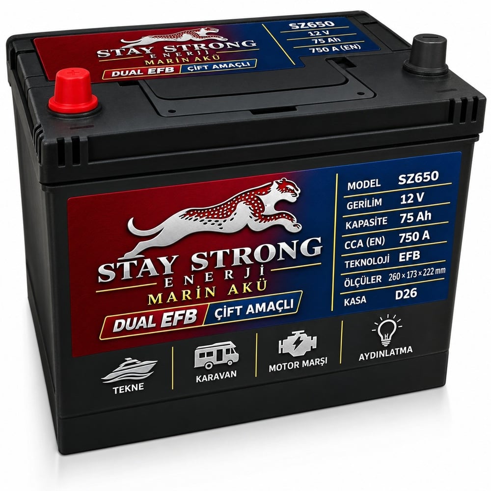 STAY STRONG SZ650 12V 75Ah 750A EFB Marin Çift Amaçlı Aküsü