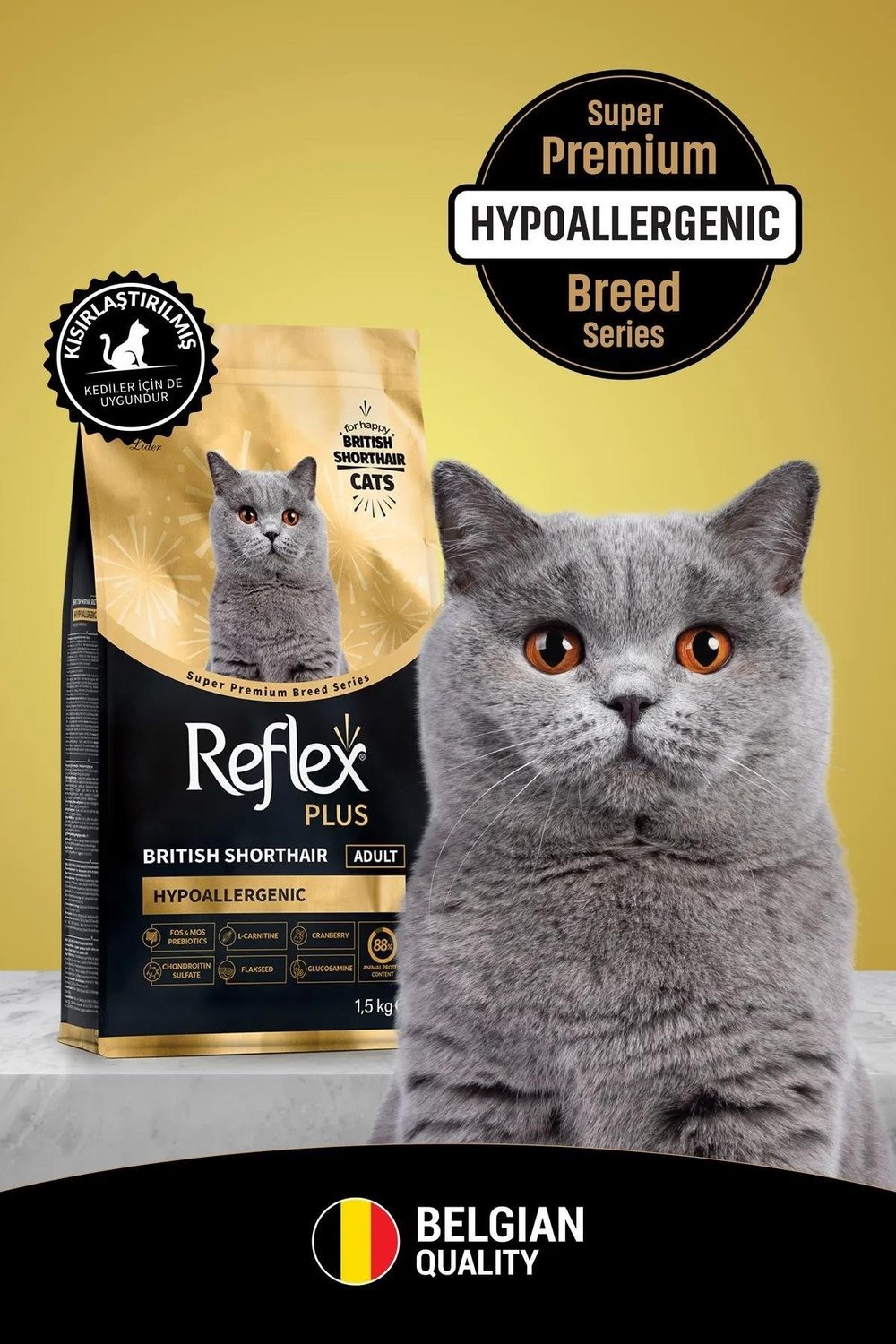 Reflex Plus British Shorthair 1.5 kg Tavuklu Yetişkin Kedi Maması