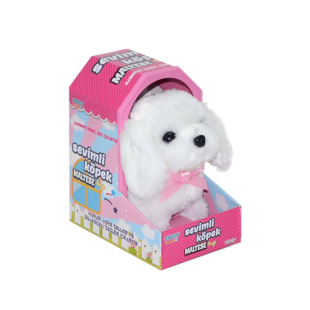 47100 Sevimli Köpek Maltese