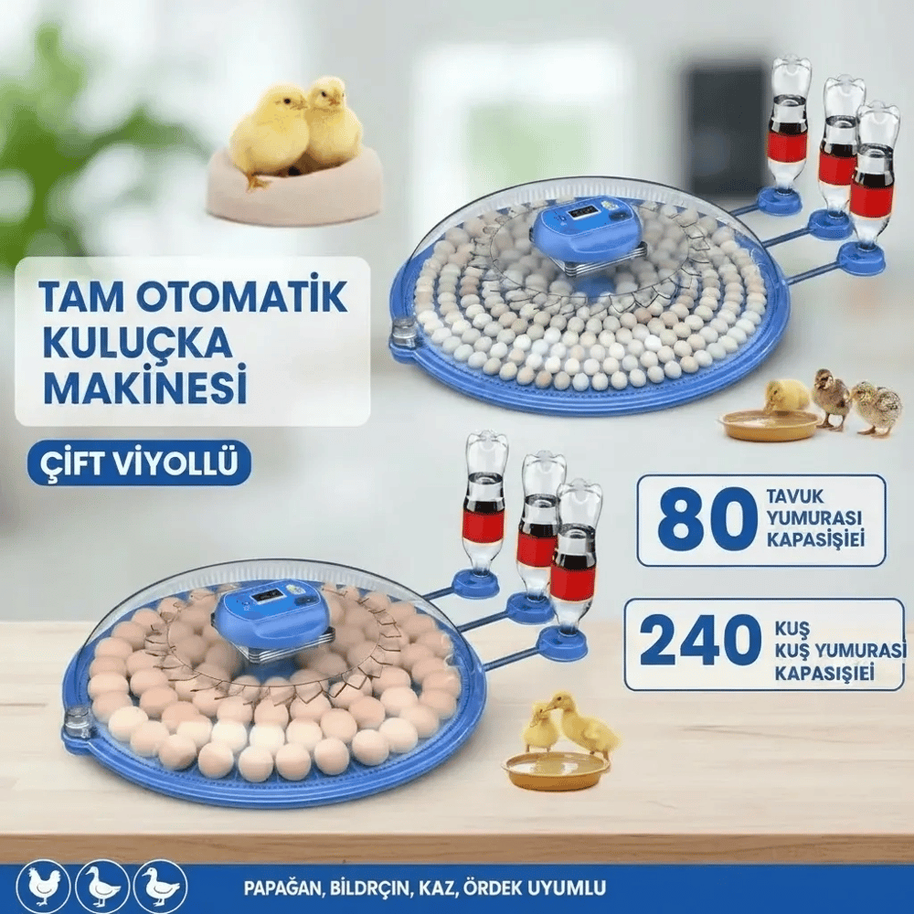 80 ve 240 Kapasiteli Fonksiyonel Tam Otomatik Kuluçka Papağan Mini Kuş Tavuk Kaz Ördek Uyumlu
