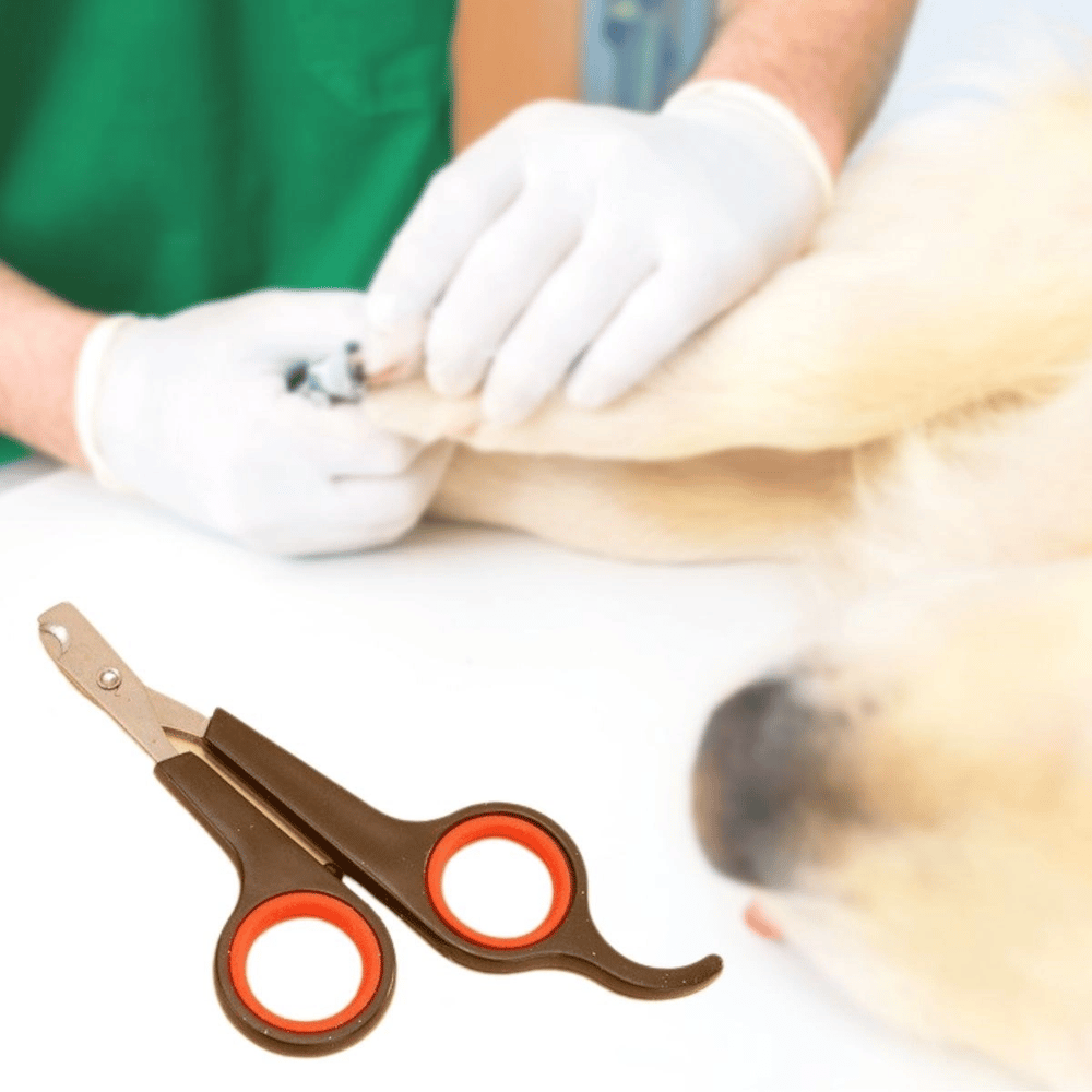 Küçük Çelik Uçlu Kedi Köpek Evcil Hayvan Tırnak Makası Pati Bakım Aleti Ergonomik Kaymaz Sap Bx40