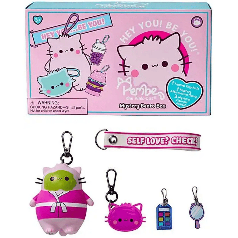 Pembe Kedi Bento Kutusu Sürpriz Paket