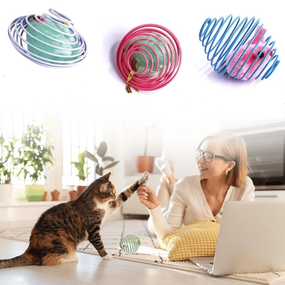 Yaylı Metal Fareli Kafes Kedi Oyun Topu Sıçrayan Spiral Kedi Topu Bx40
