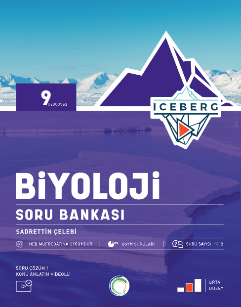 okyanus-yayinlari-9-636-11.png