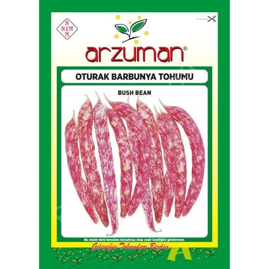 Barbunya (Oturak) Tohumu 50 Gr –Arzuman
