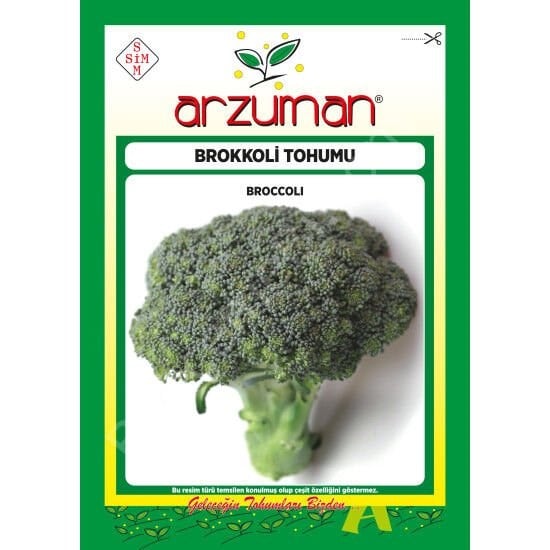 Brokoli Tohumu 300 Adet - Arzuman