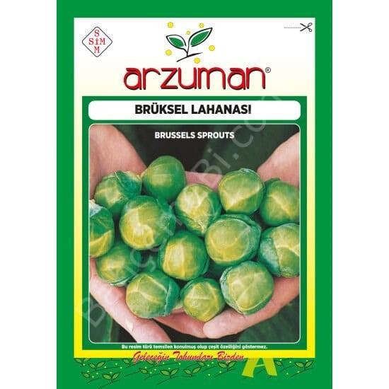 BRÜKSEL LAHANA Tohumu 200 Adet – Arzuman